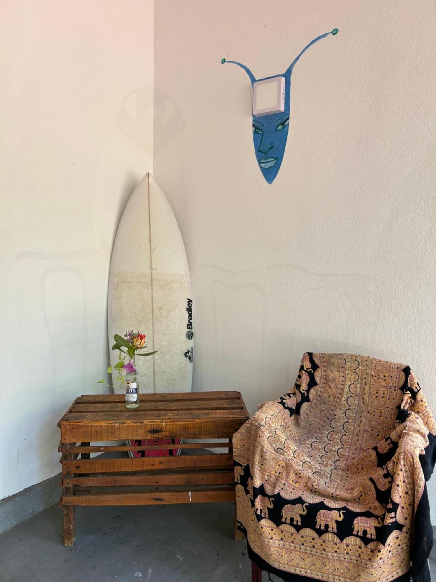 Starfish Beach Bungalow アルガムベイ エクステリア 写真